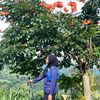 Ayu Adeliaa🎯🧬