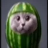skibidifemboypussy666