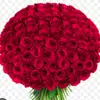 user9850748361961