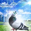 its.lun2