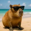 capivara12347