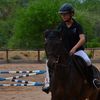 stels_eq