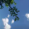 nadi_ne72