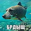 user55140175311591