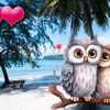 nofi3232