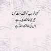 king.khan17973