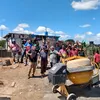 darciocampos115
