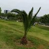 angeljosepologamboa984