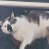 lily.splitgerber1