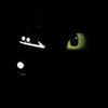 toothless2is