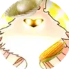 the.radiance.abso