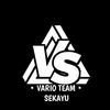 vario_sky11