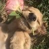 sophie_302768