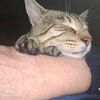 kmlmcnere8