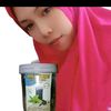 bin.tang783333