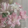 hoizotrihihi