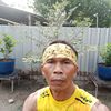user4491460352672