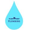 plumberryplumbing