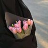 tul1p_flower22