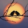 raiyan.islam863