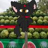 cherka_obrygan