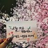 user18030929736682