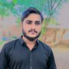 hafiz.sajjad.rizvi.293
