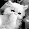 jangsueun_
