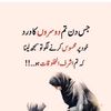 alishba49488