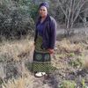 qhoboshiyani.mave