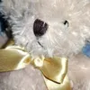 ringo_291