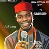 de.succeed.onyebuchi