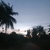 novi_manusia