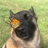 leafar_fr