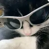 fri_tz1