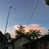 ahmadmajid5955