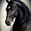 ahmid.al.atow