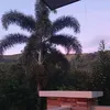 jillian_407