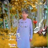 nazir4569619348674