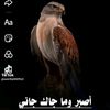 user6777777777vvvvvvvvvv