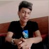 arau28568
