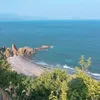 phongtran88vp