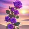 cherry.lu3