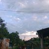 callysta_072