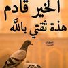 user4365106114711