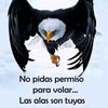 user3474846612205