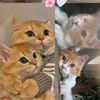 qaiskambeer27