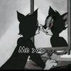 user8184857886015