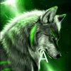 user8501855019281