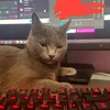 yapi_dorasas